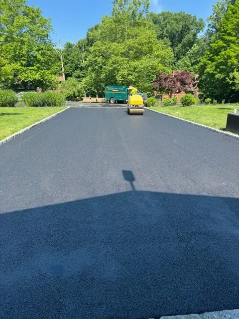 New lot